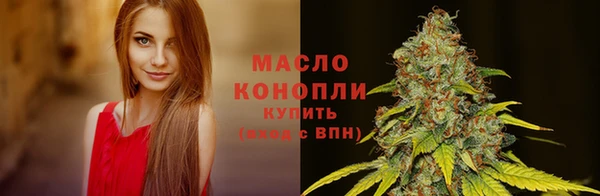 прущие крисы Лабытнанги
