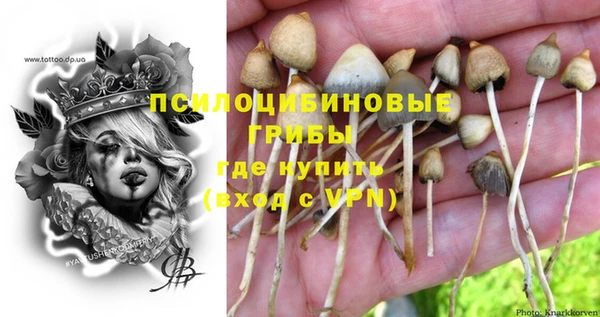 герыч Ладушкин