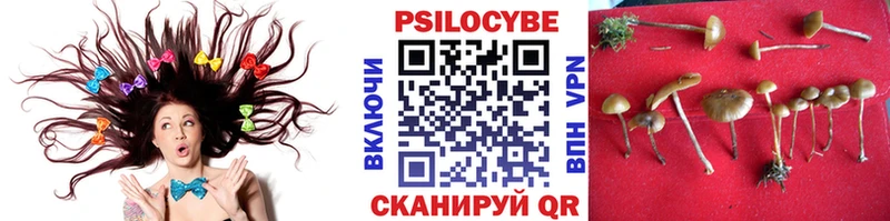 Псилоцибиновые грибы мицелий  Купить закладки  Цимлянск 